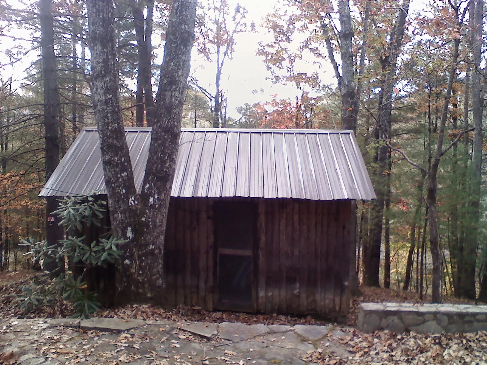 New metal gable roof on a small log shed among the trees in Cazenovia